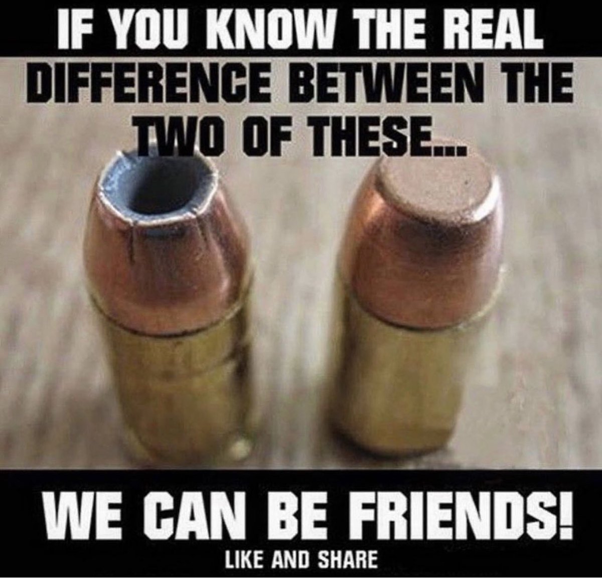 Guns Daily tweet media