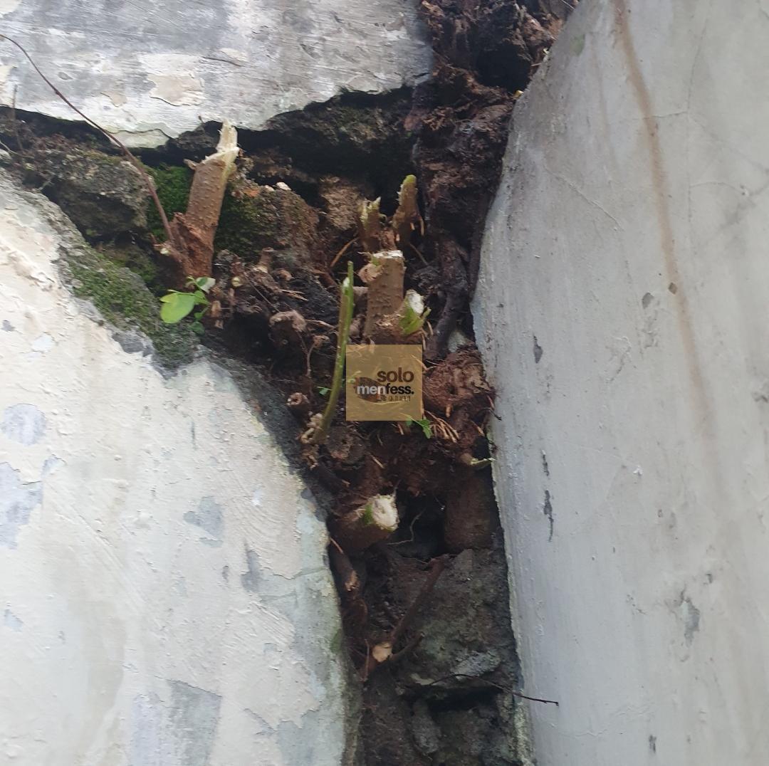 Solo Menfess tweet media