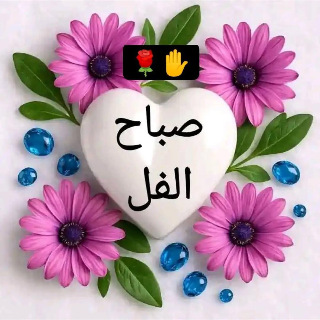 OM naaif tweet media