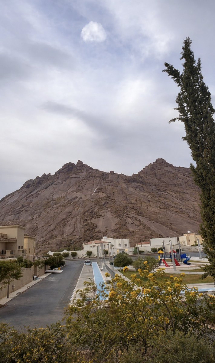 A L A N O U D 🇸🇦 tweet media