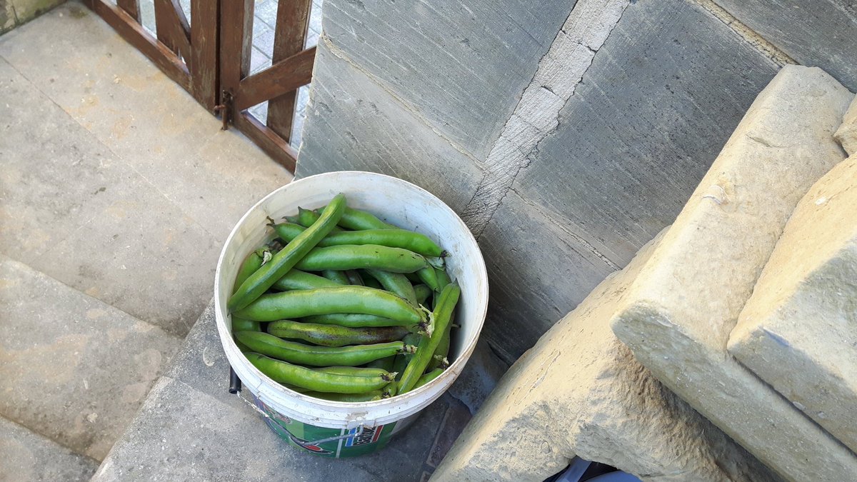 Remembering fondly the days when we would come home to find a pail of fresh vegetables behind the gate - a gift from one of the local farmers ❤️ 
#TheGozoDaily #gozolife #oldfriends