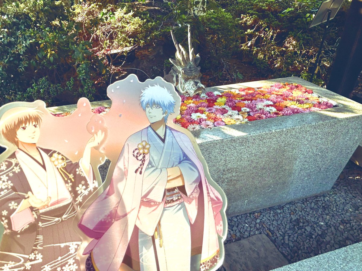sitikawa_47's tweet photo. あまりこっちは浮上できてないので
とりあえず〜
先日HANA BIYORI行って来ました〜
午前は虫いっぱいでビビり散らかしてたw https://t.co/NzHazu8t2X