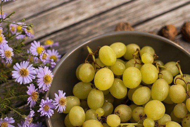 Maria Tyler tweet media