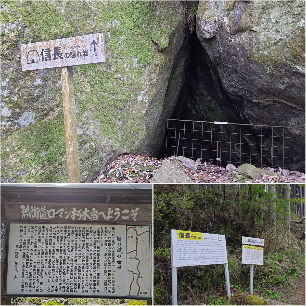 あきポタ🌗 tweet media