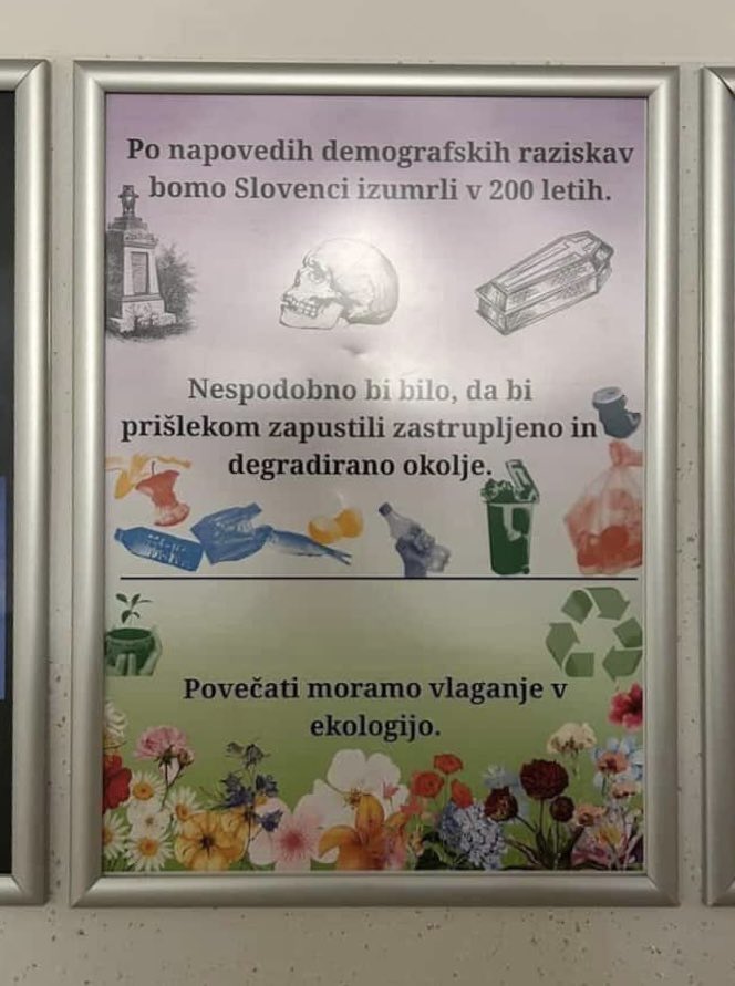 Gimnazija Lava, Celje.
»Slovenci bomo izumrli v 200 letih.«
In vaša rešitev?
Plakat, ki mladim Slovencem sporoča:
»Nesposobno bi bilo, da bi prišlekom zapustili umazano okolje.«
Ne.
Največja sramota je, da boste svojim vnukom zapustili mrtvo državo brez Slovencev.
Mlade učite