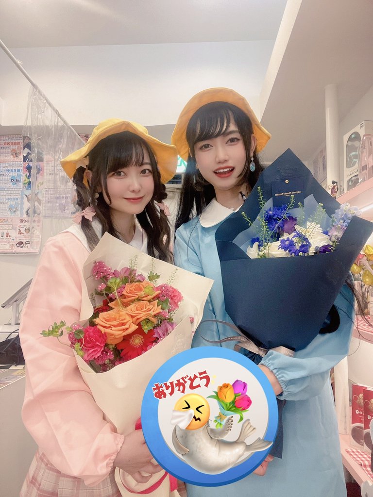 メイリッシュ tweet media