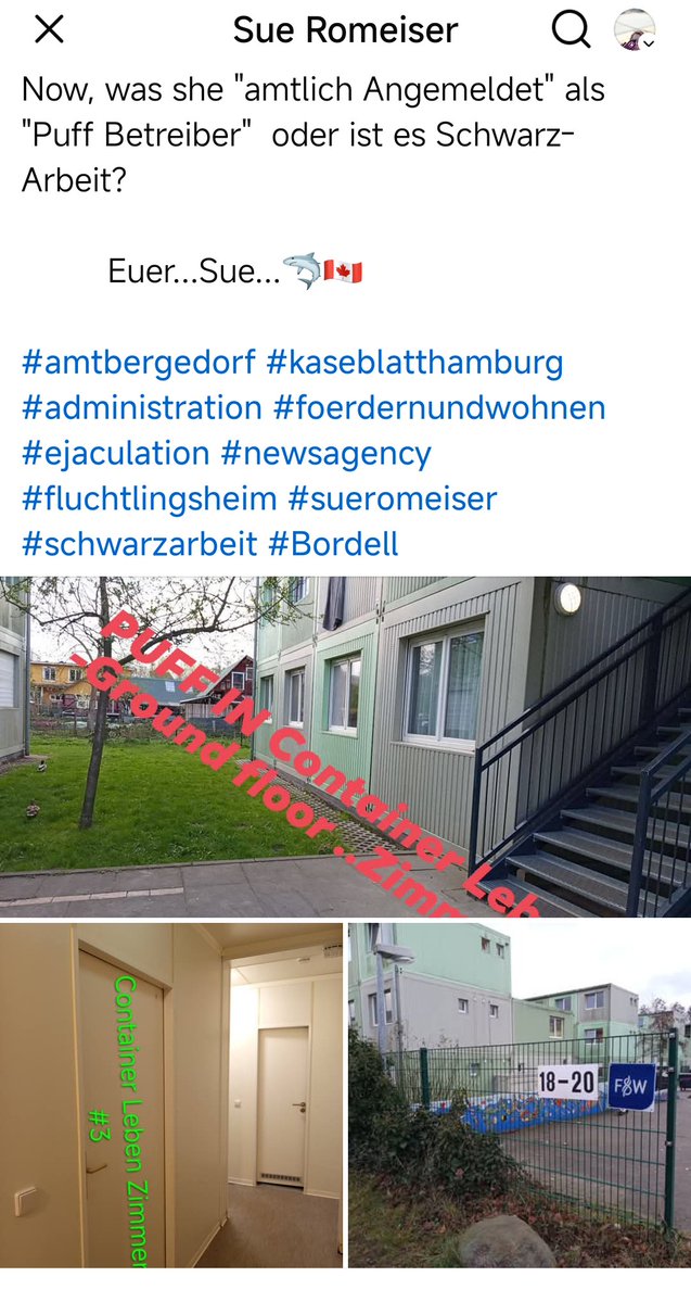 Sue ©️ tweet media