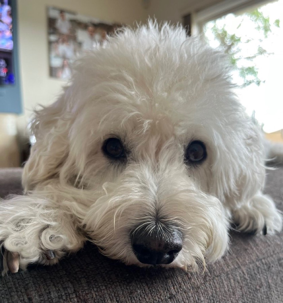 𝐌𝐚𝐭𝐭 𝐏𝐢𝐧𝐧𝐞𝐫 tweet media