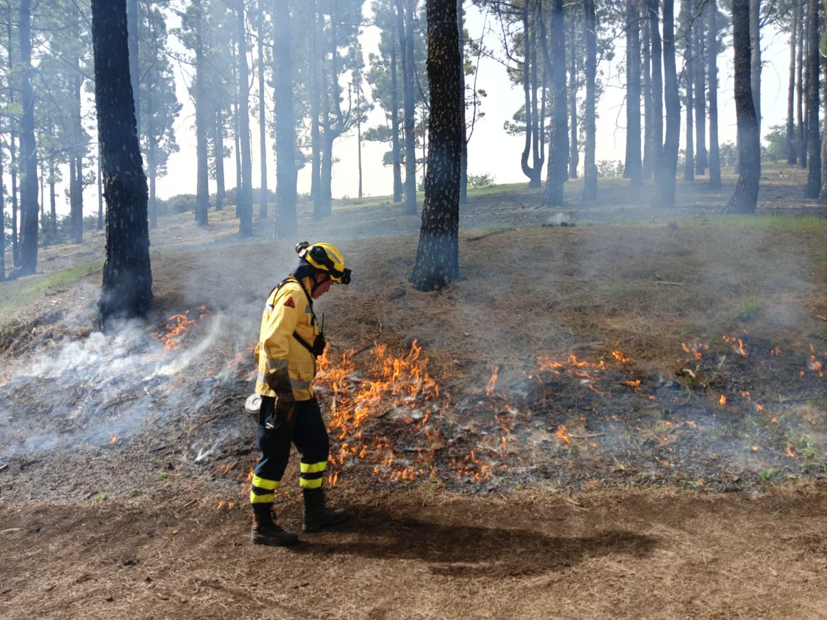 Pau Costa Foundation tweet media