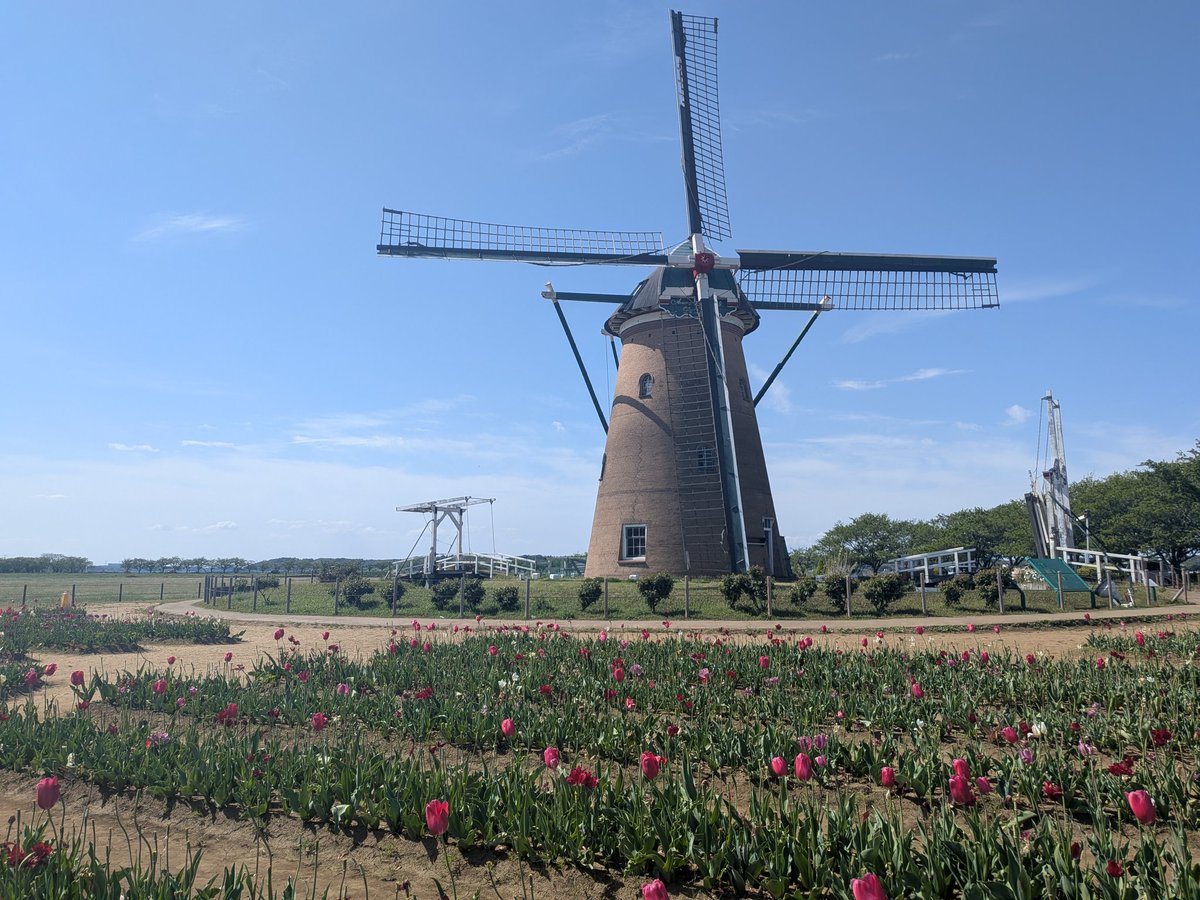 みこぴ@セナリバ tweet media