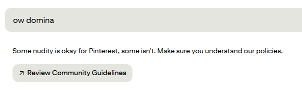 DDIRORI_watch's tweet image. 🚨 WTF!!

I searched 'ow domina' on Pinterest and got a nudity policy warning. 
Do you think this even makes sense??
#domina #pinterest