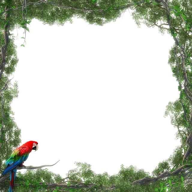 Lauren Dawson tweet media