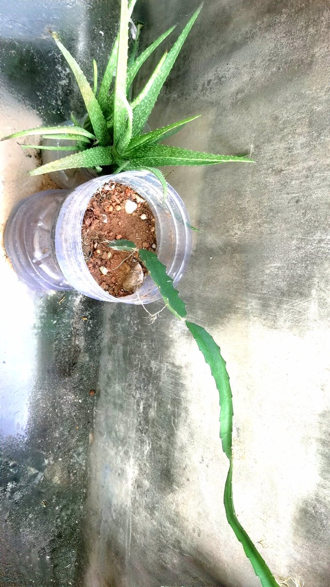 Сергей Козленков tweet media