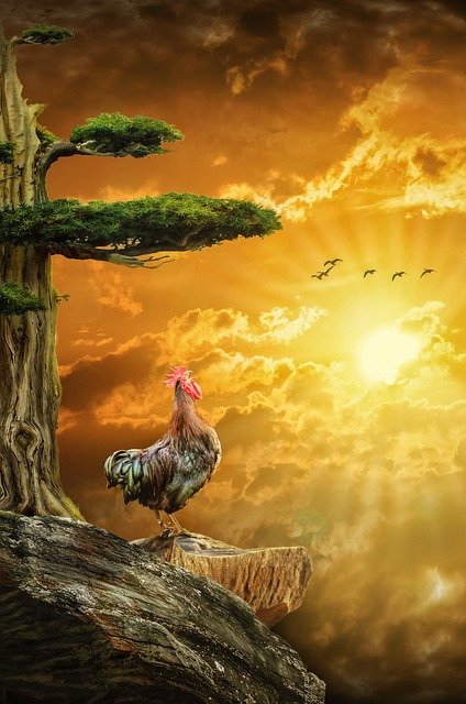 Troy Goodlow tweet media