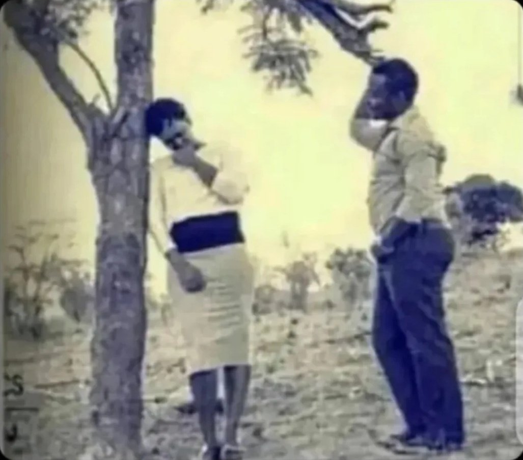 lobistar third wife 🇨🇦🐐 tweet media