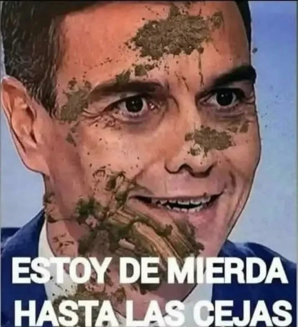 José Padilla 🇪🇸 tweet media