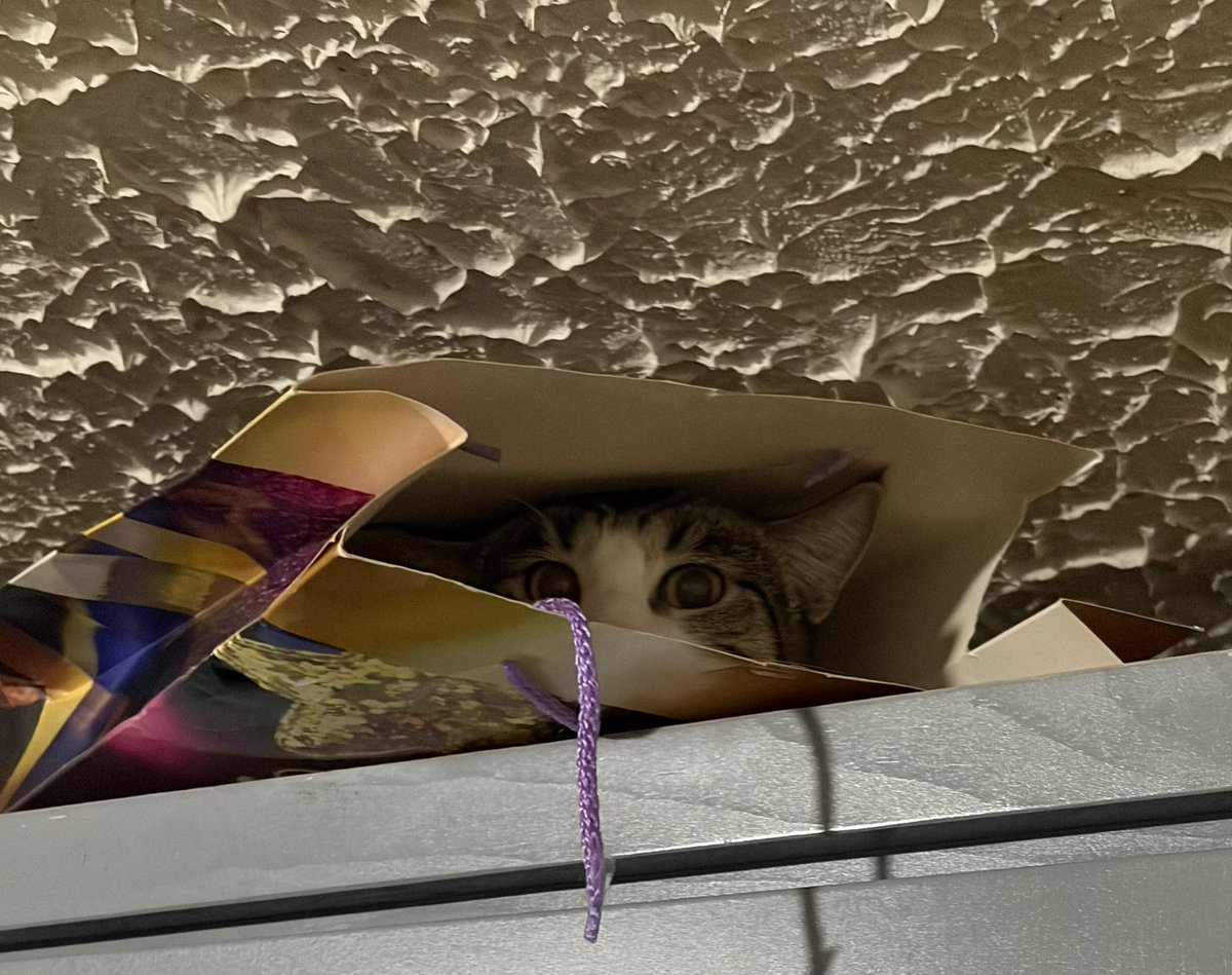 Lue ☆ ルエ tweet media