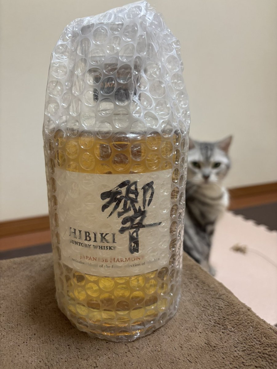 はるもん tweet media