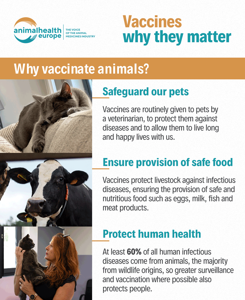 animalhealthEU's tweet image. Today, we celebrate one of the most effective tools in animal care!  #WorldAnimalVaccinationDay

💉#Vaccination keeps animals safe from serious infectious diseases.
👉It supports welfare, limits outbreaks, and strengthens #OneHealth.