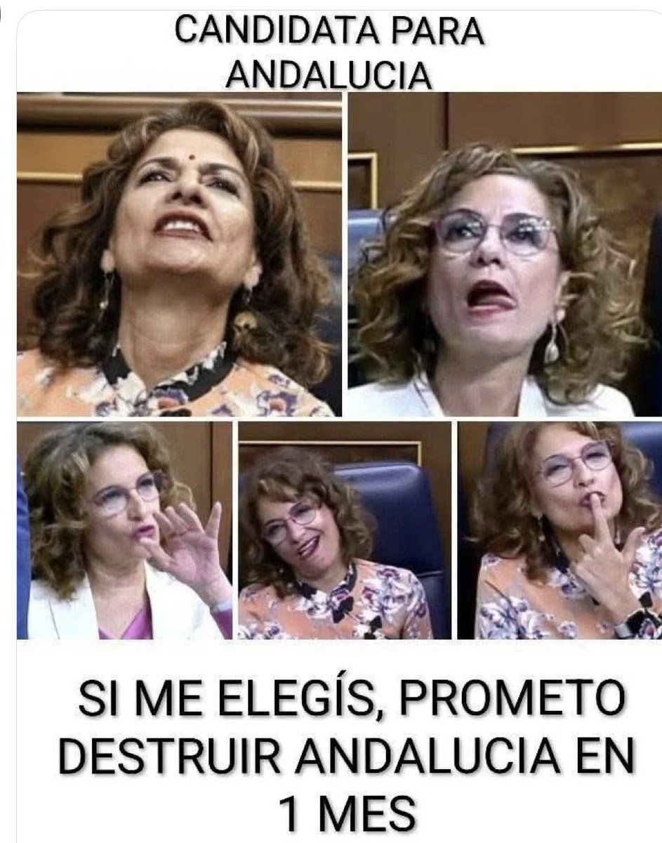 José Padilla 🇪🇸 tweet media