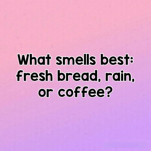 Alice 👑 tweet media