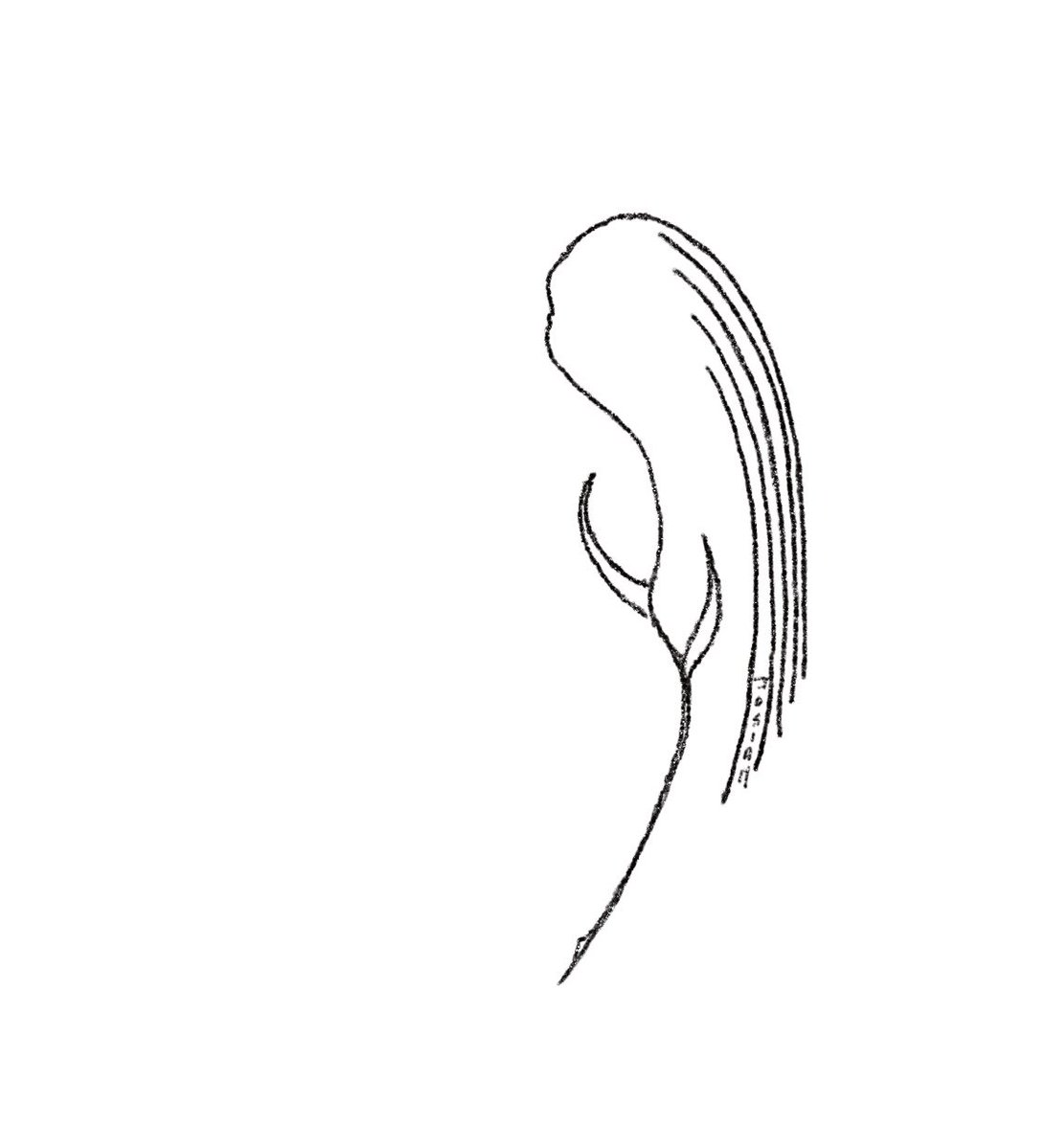 apsbhogal's tweet image. #completeTheHaiga 
Every flower 
Bearing face of you 
Same smile.
#aps