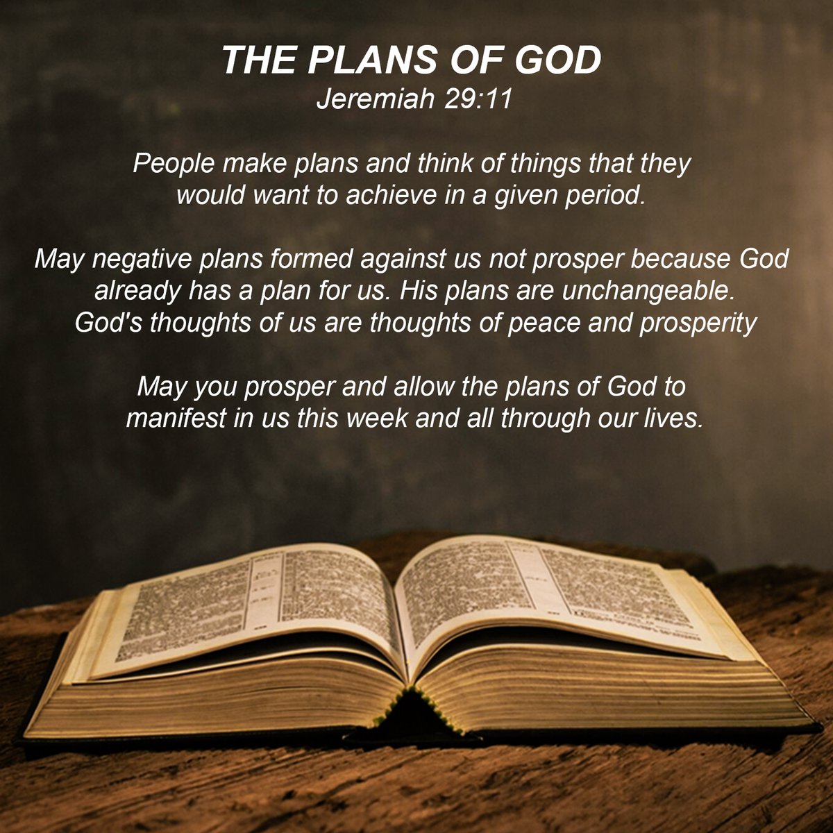 TopcareLandsKE's tweet image. May you prosper and allow God's plans to manifest in you this week and always. Welcome to a brand new week from Topcare Lands Kenya.
#BuiltOnTrust #TopcareDelivers