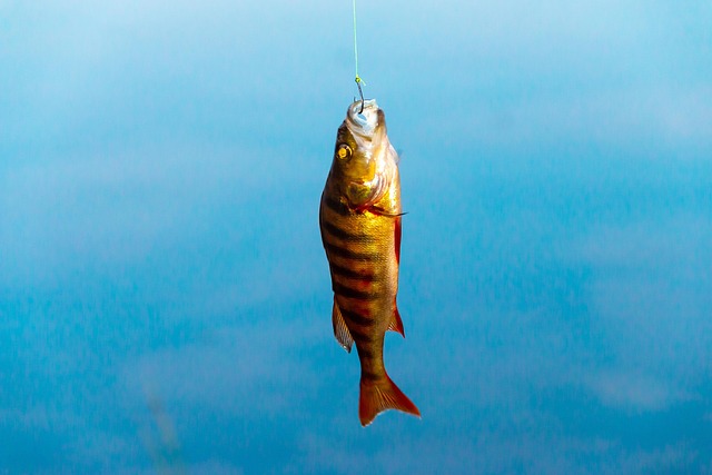 Kasey Roy tweet media