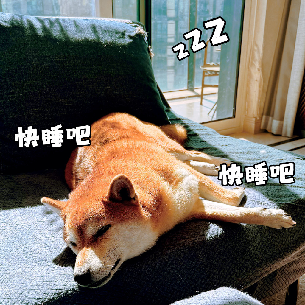 凌子奕 tweet media