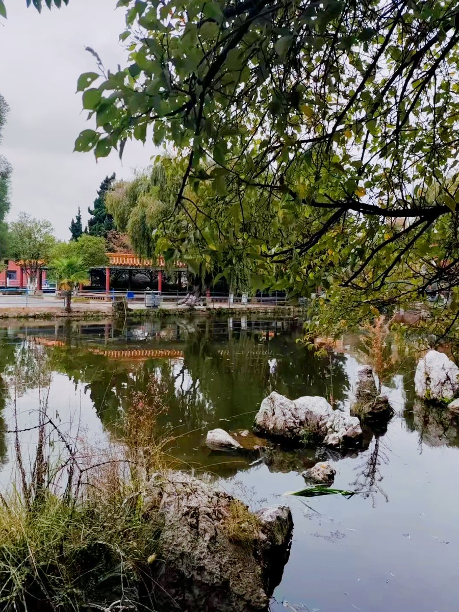 wald el mas tweet media