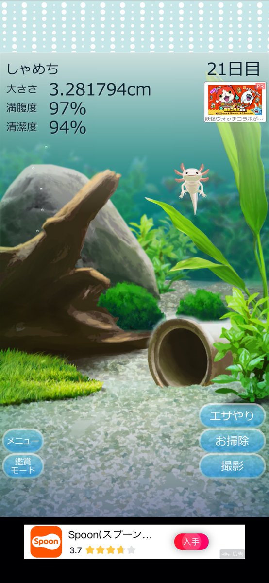 かぴぱら tweet media