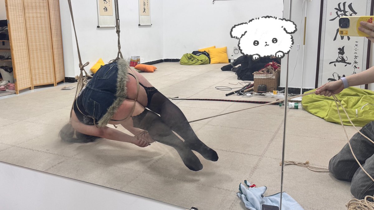 君一一一kitten tweet media