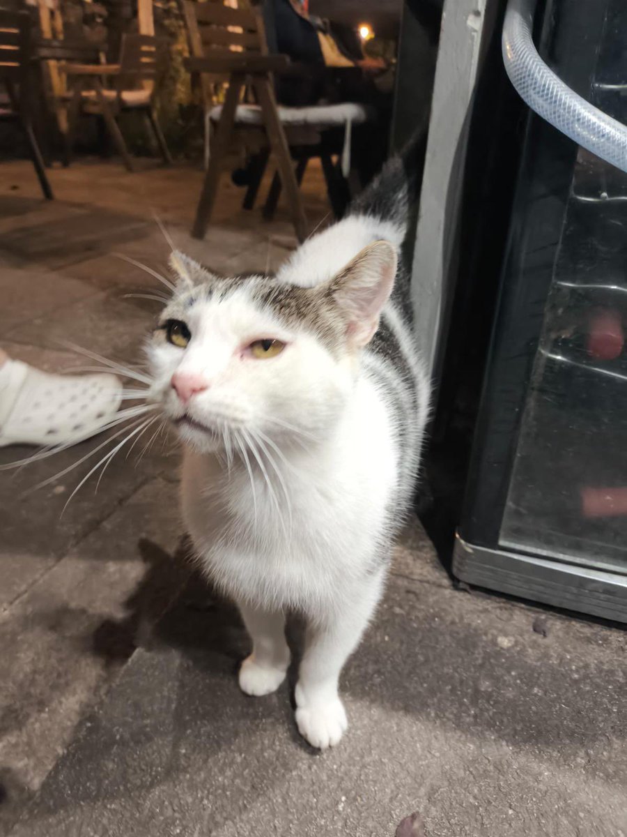 asociación abeiro tweet media