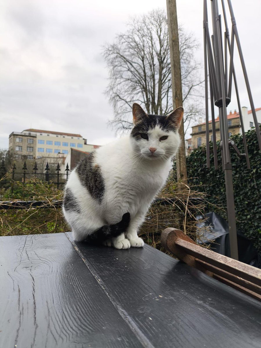 asociación abeiro tweet media