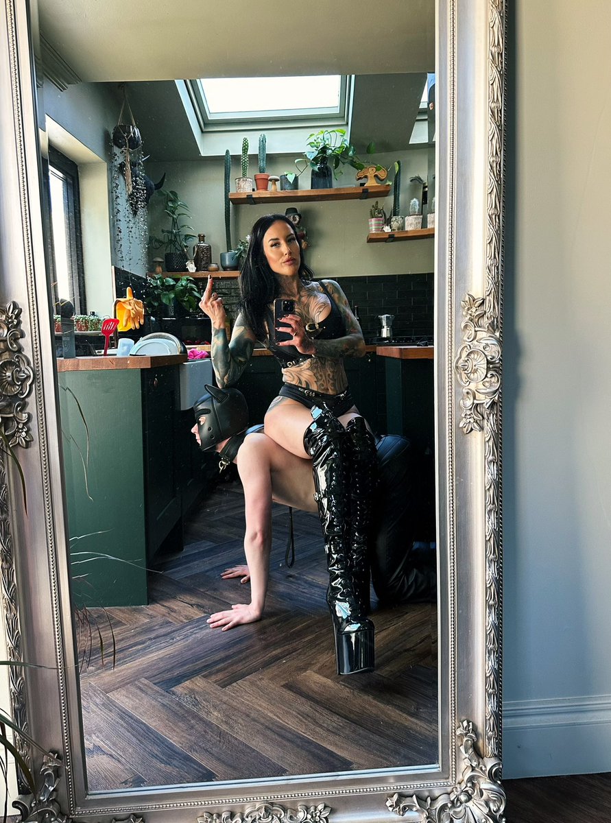 Lady Emily tweet media