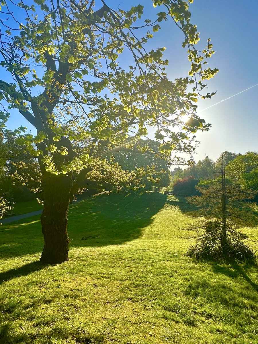 XStressedLawyer's tweet image. Day 639 of sharing my journey as a #FamilyLaw #solicitor in practising #mindfulness &amp;amp; #breathing to promote #calmness &amp;amp; combat feeling #overwhelmed with #work.

Stopped in a park. Stood in the sun. Listened to the birds. Did triangular breathing. Feel amazing.