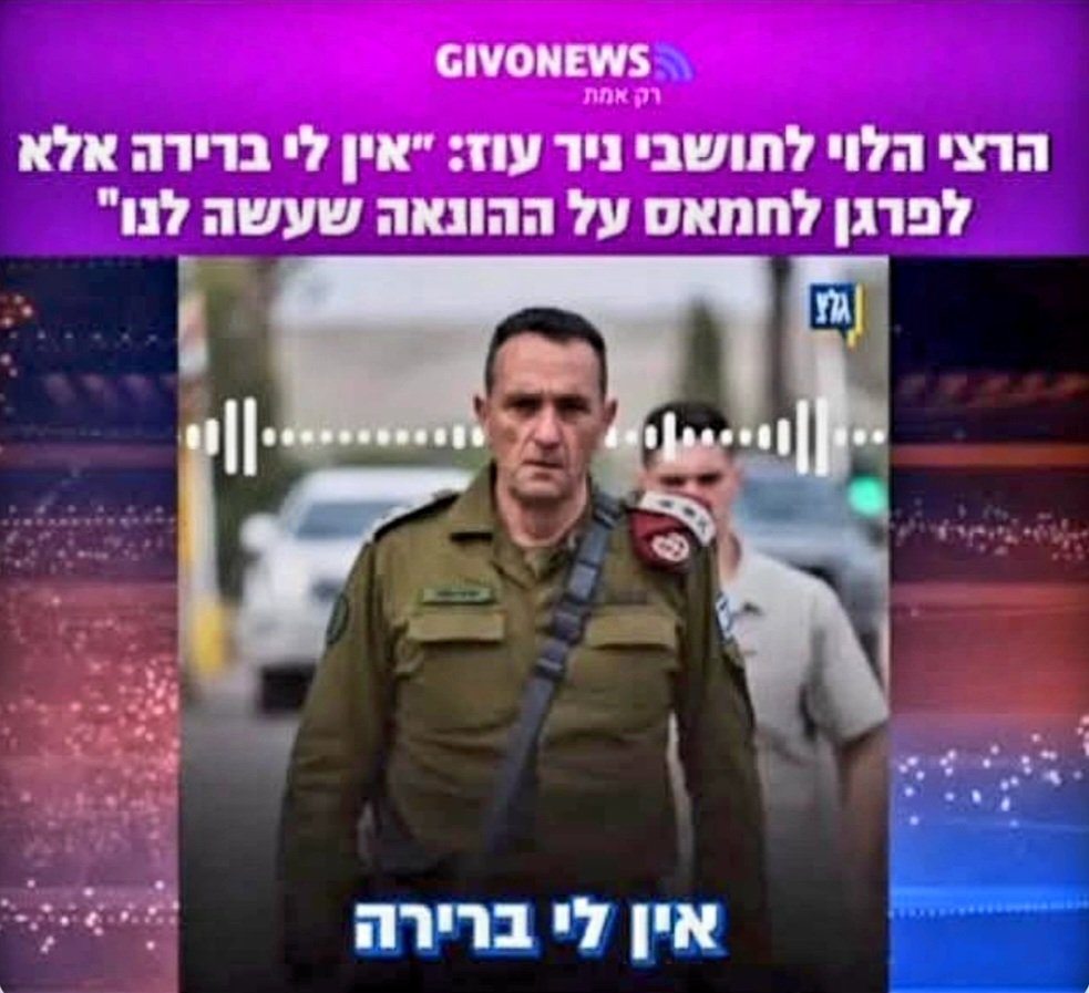 Magi Magi tweet media