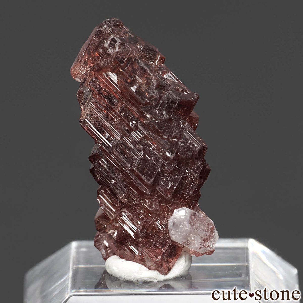 cute stone tweet media