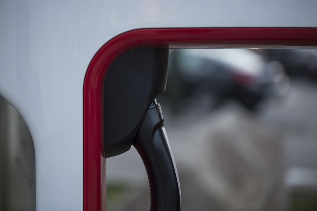 Tonya Palmer tweet media