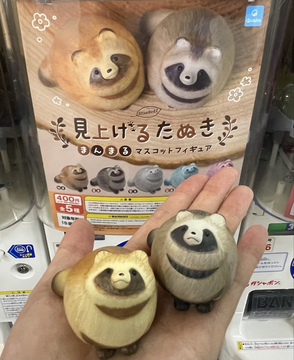 ぐんたー tweet media