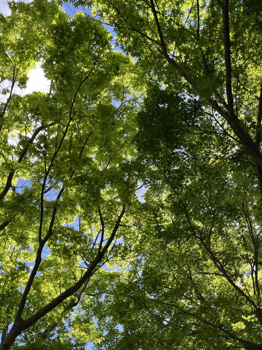 なんにもしない日
いいお天気でした
明日からまたお仕事頑張ろっと

2026/04/20
𓂃🌿𓈒𓏸