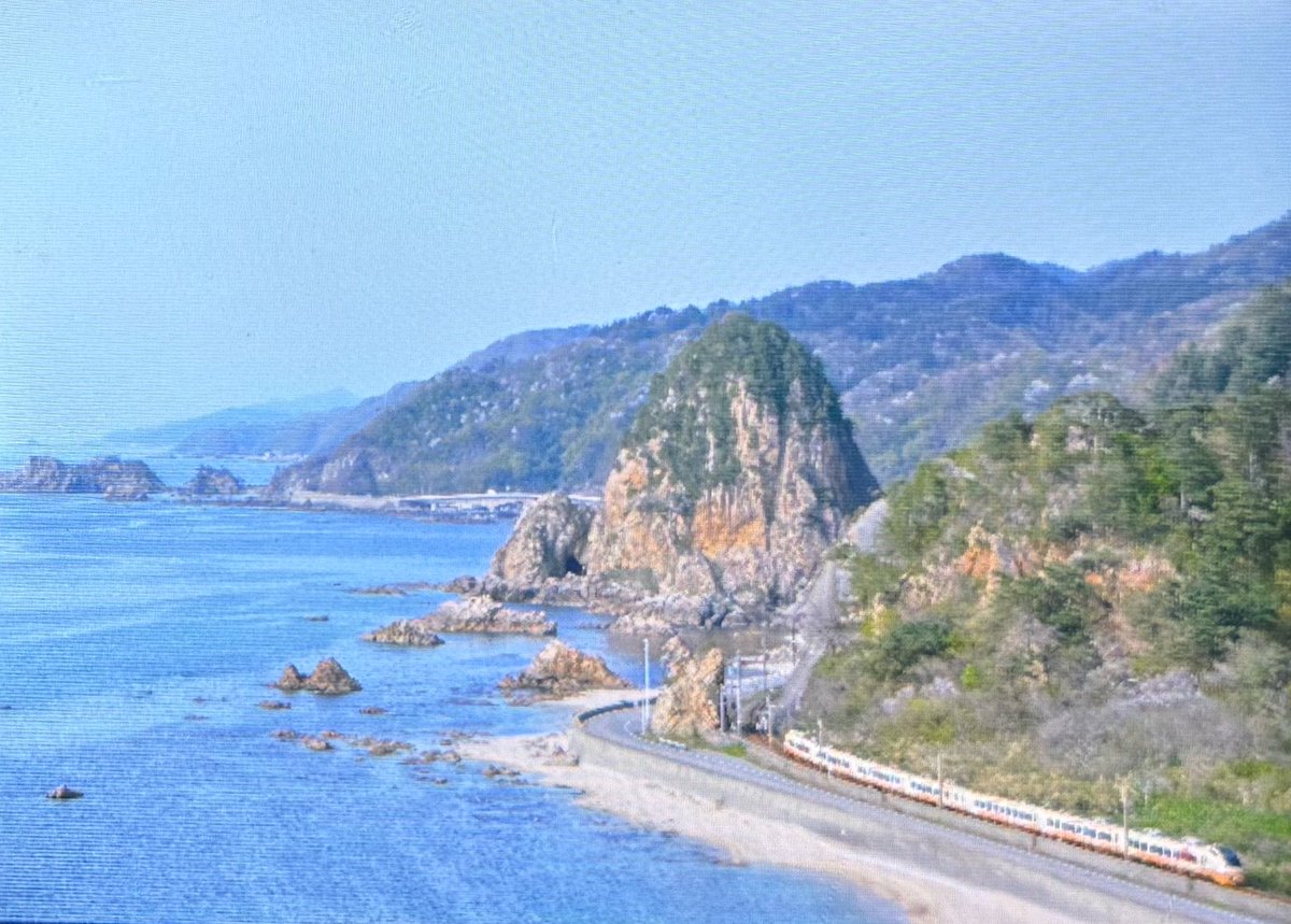 🌾稲穂🌾 tweet media