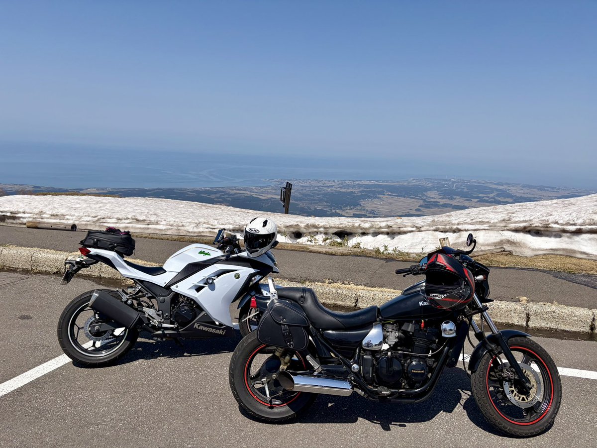 MOGU楽のみっぴー tweet media