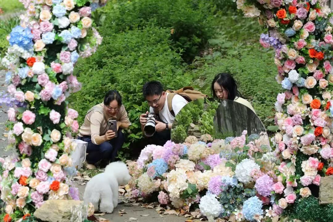 Gorgeous Guanshanhu tweet media