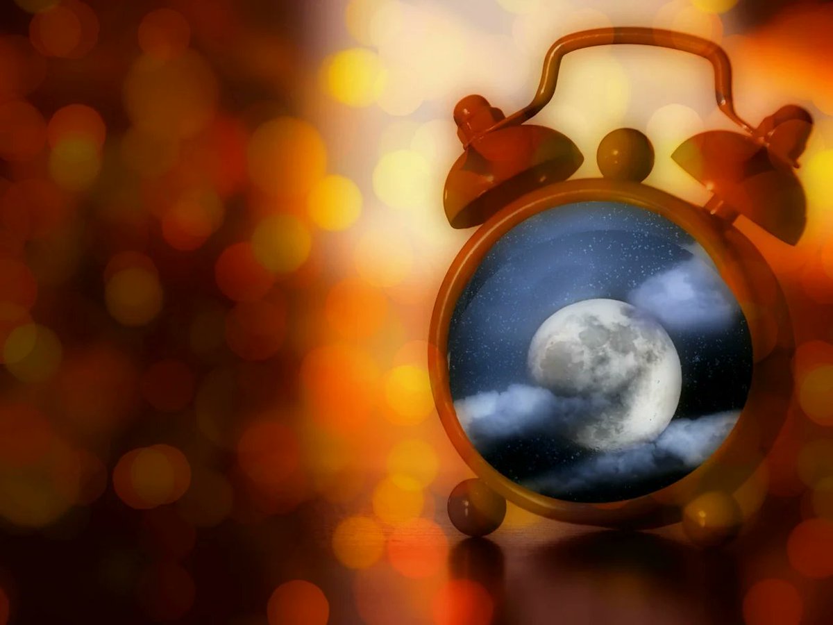 Lisa Farmer tweet media