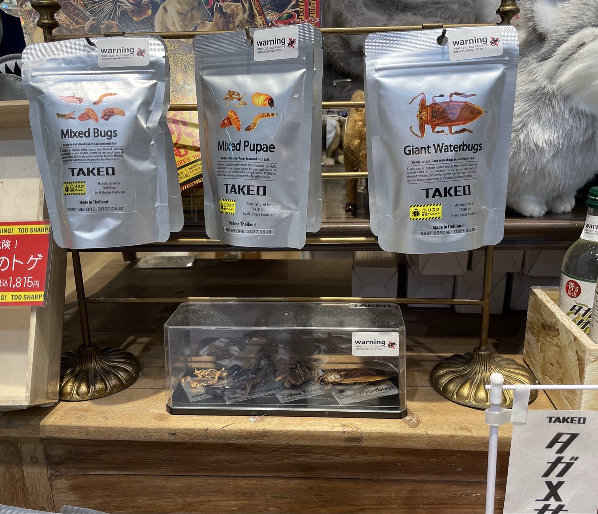 ぐんたー tweet media