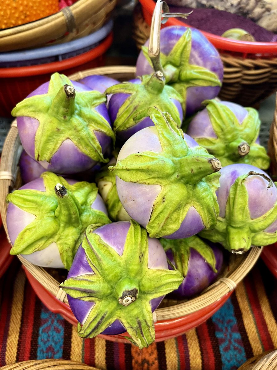 달콤이 tweet media