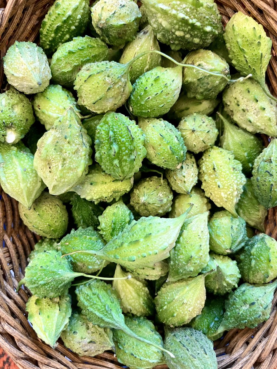 달콤이 tweet media