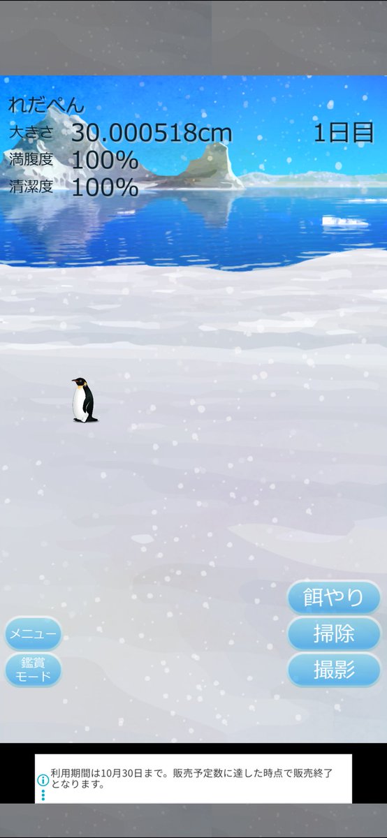 かぴぱら tweet media