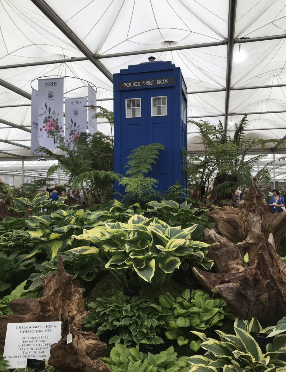 Tan321's tweet image. Struggled to choose for #OtherWorldly   A pic of my signed photo of #Ace #DoctorWho when I was working with her at #Comicon The #tardis in the middle of a display at the #ChelseaFlowerShow or a selfie of me in a distorted mirror. #DailyPictureTheme